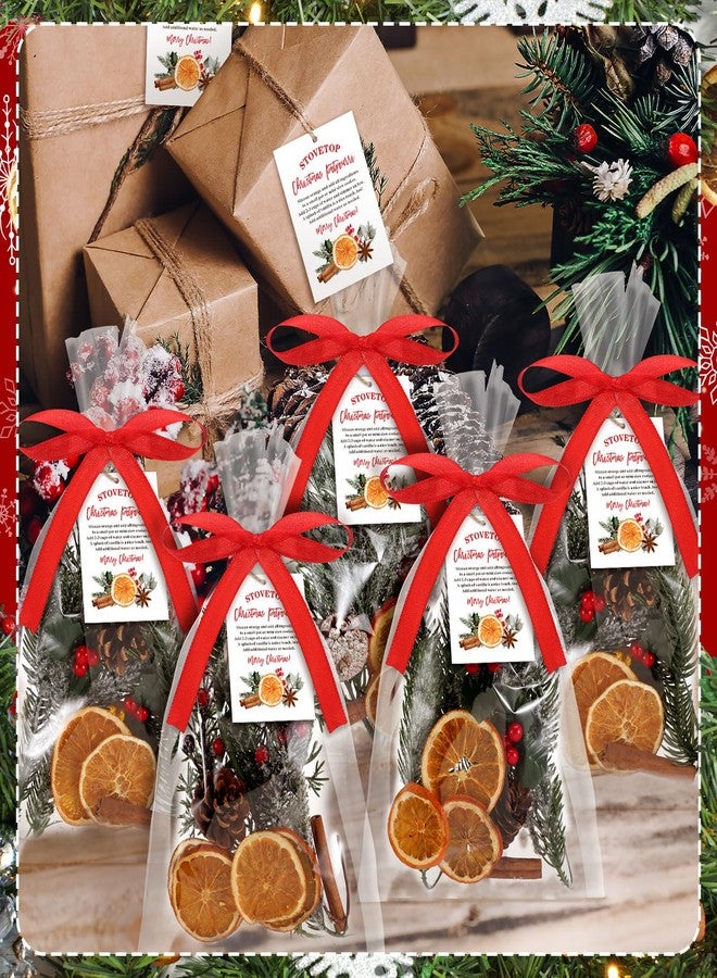 Tinlade 100 Set 202 Pcs Christmas Potpourri Gift Bag Bulk with Tag Red Ribbon Rope Clear Plastic Simmer Bags Cellophane Stovetop Holiday DIY Simmer Instruction Present Kit for Party Favor Gift - Image 5